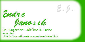 endre janosik business card